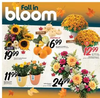 Sobeys Flyer from September 10 to September 16 2026 - flyer page 6