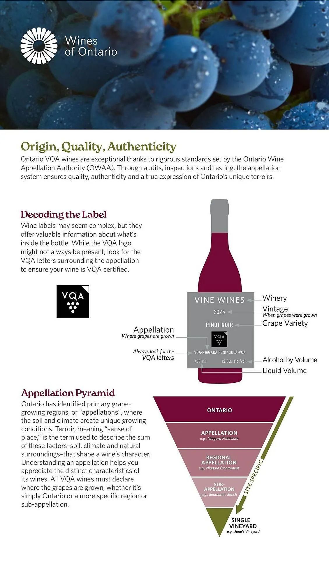 LCBO flyer from May 9 to May 15 2025 - flyer page 136