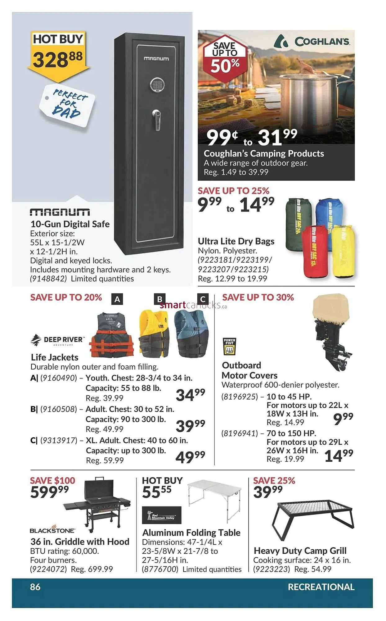 Princess Auto flyer from May 28 to June 3 2025 - flyer page 101