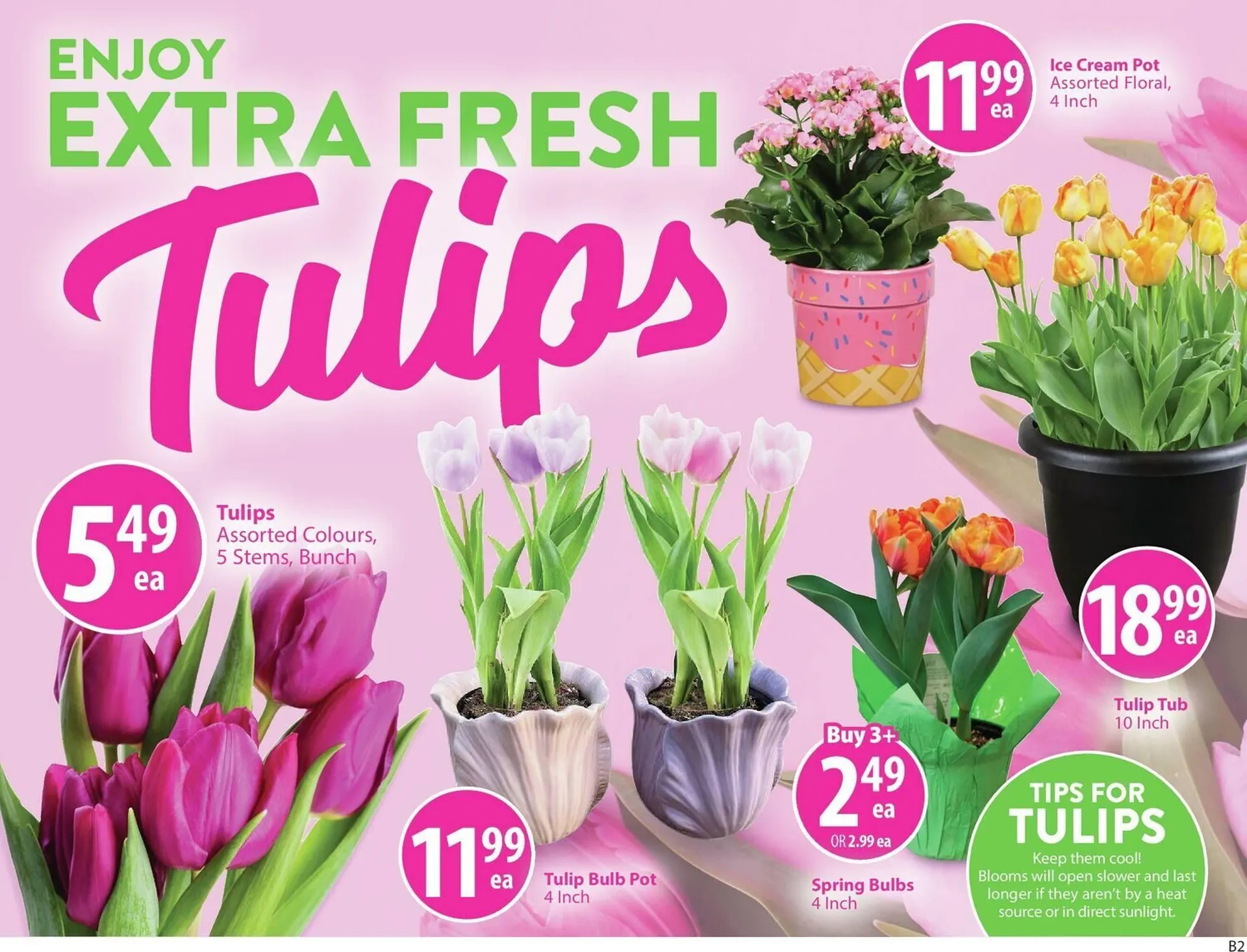 Save on Foods flyer from March 19 to March 26 2026 - flyer page 6