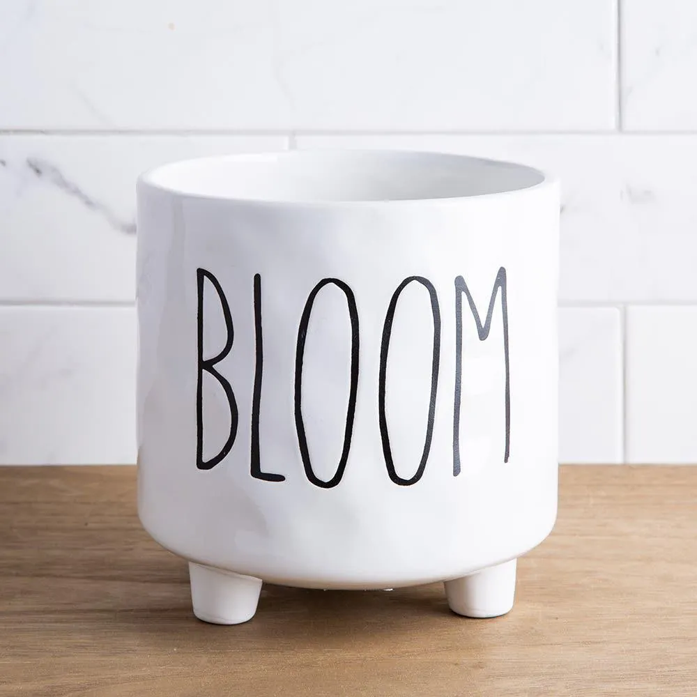 Farmhouse Modern 'Bloom' Ceramic Planter (White)