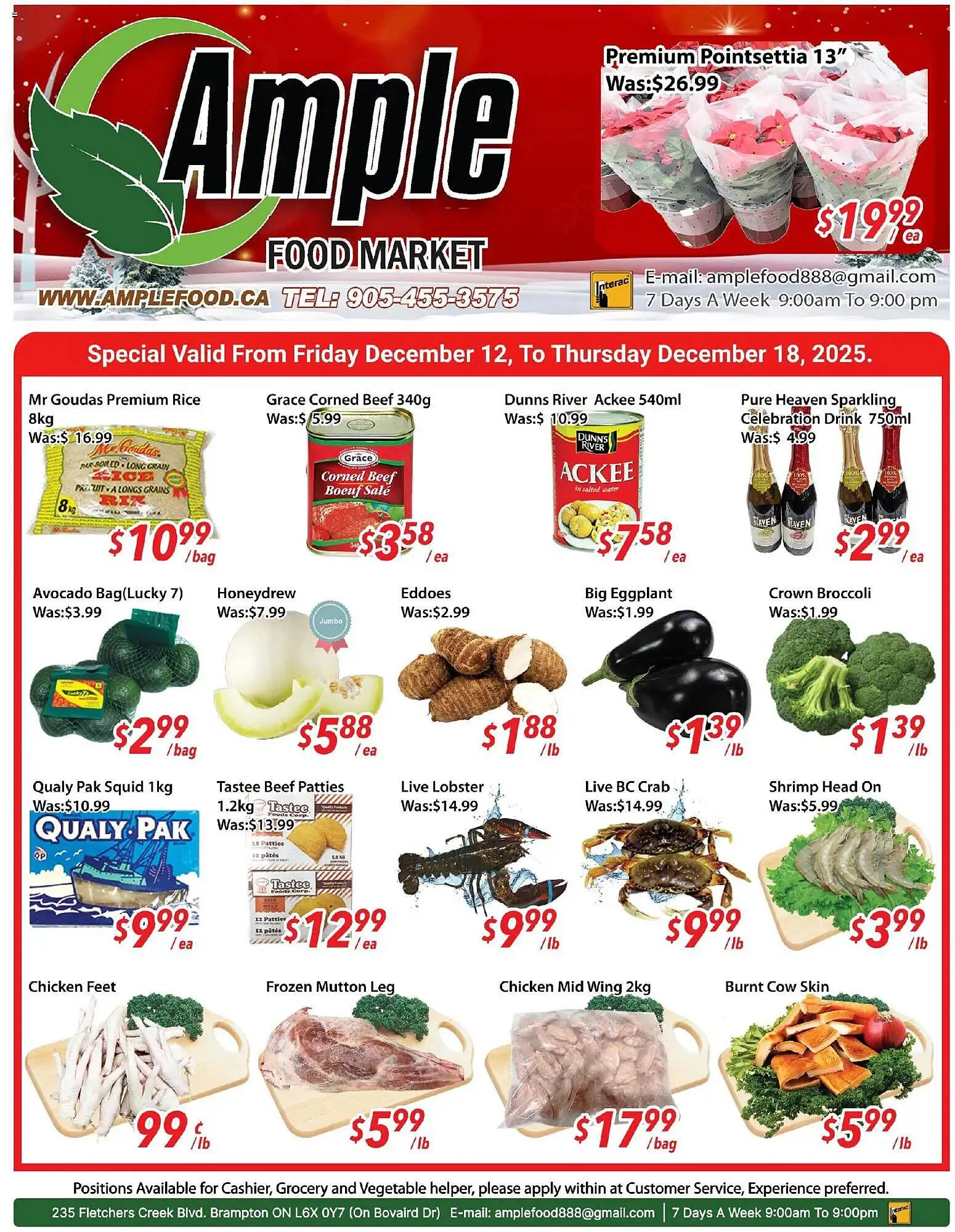 Ample Food Market flyer from December 12 to December 18 2025 - flyer page 1