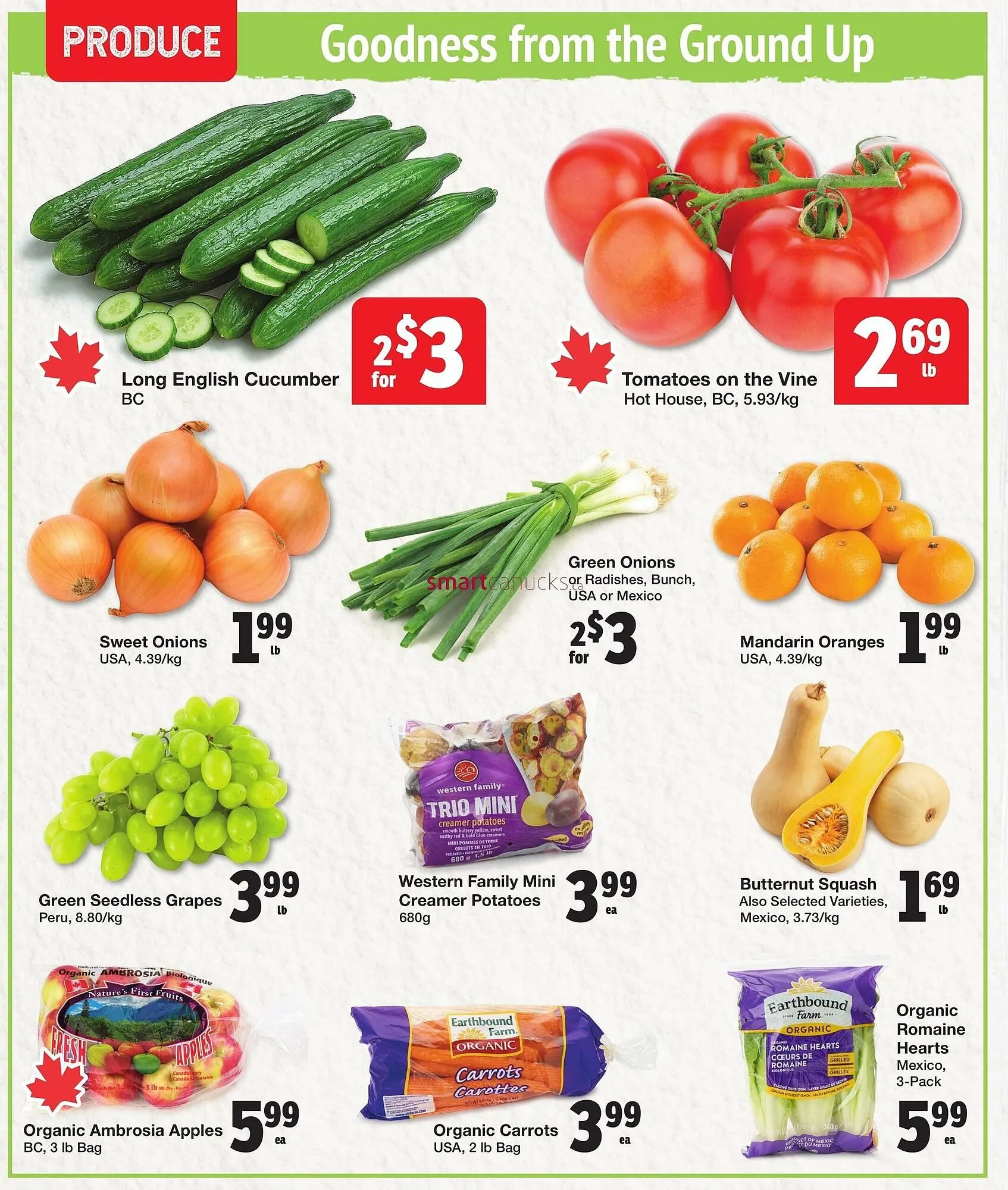 Quality Foods flyer from March 19 to March 25 2025 - flyer page 2