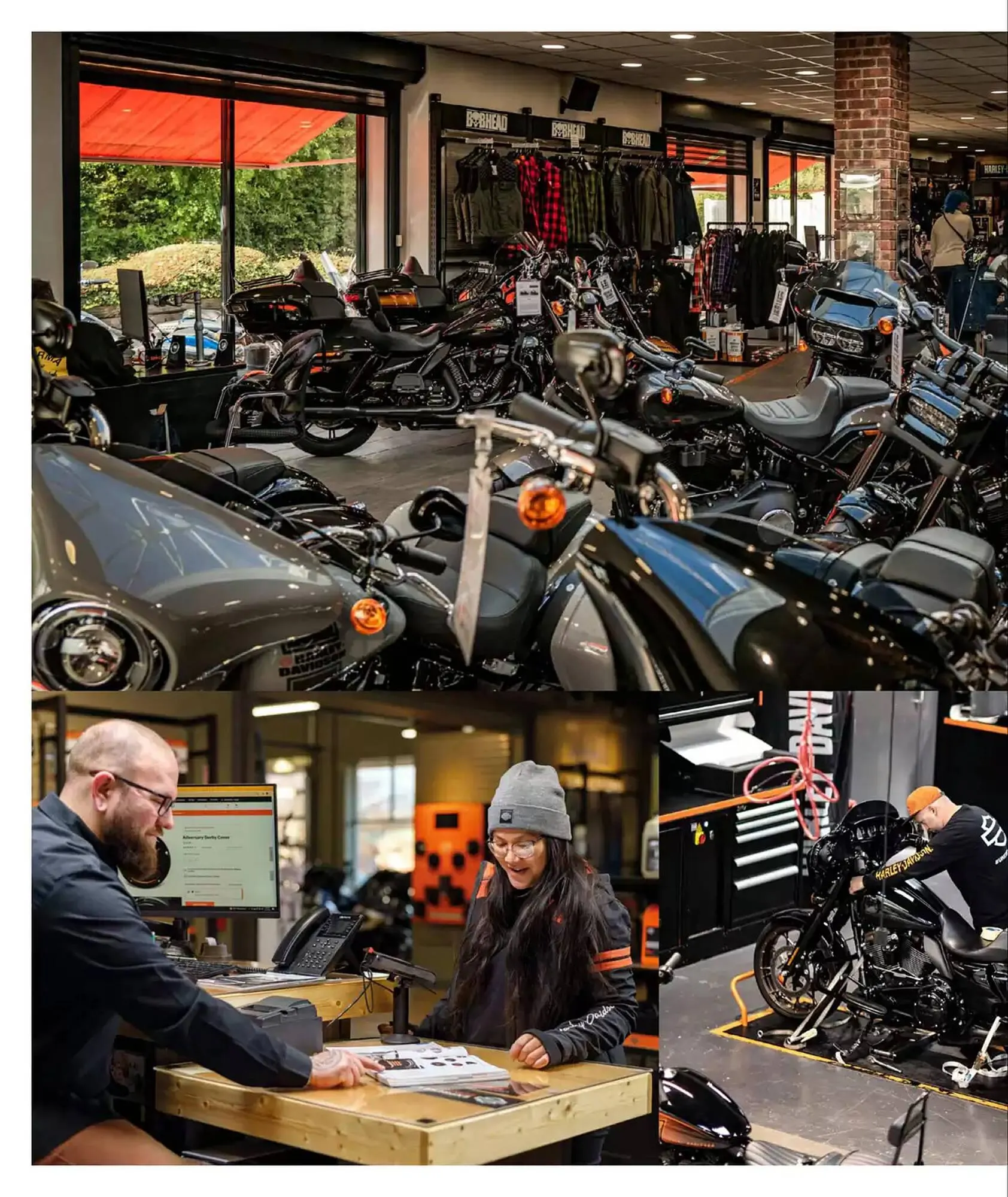 Harley Davidson flyer from February 6 to February 6 2026 - flyer page 54