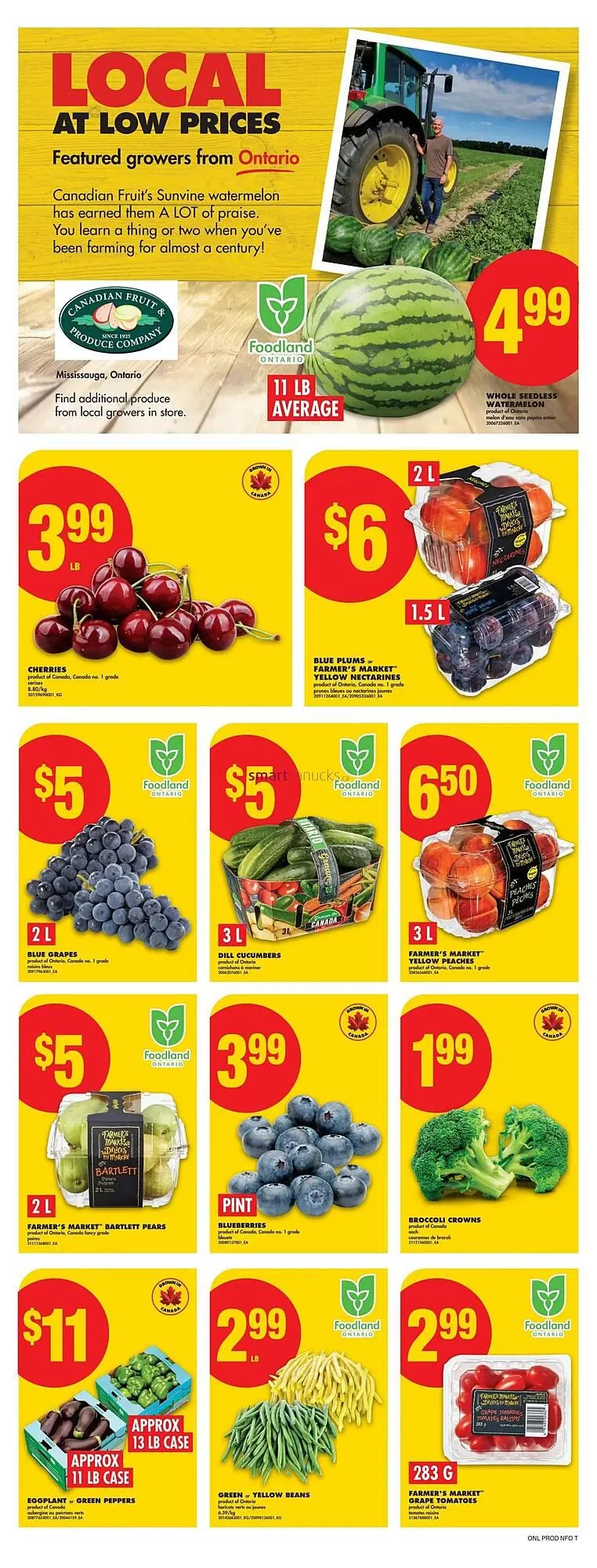 No Frills flyer from August 21 to August 27 2025 - flyer page 4