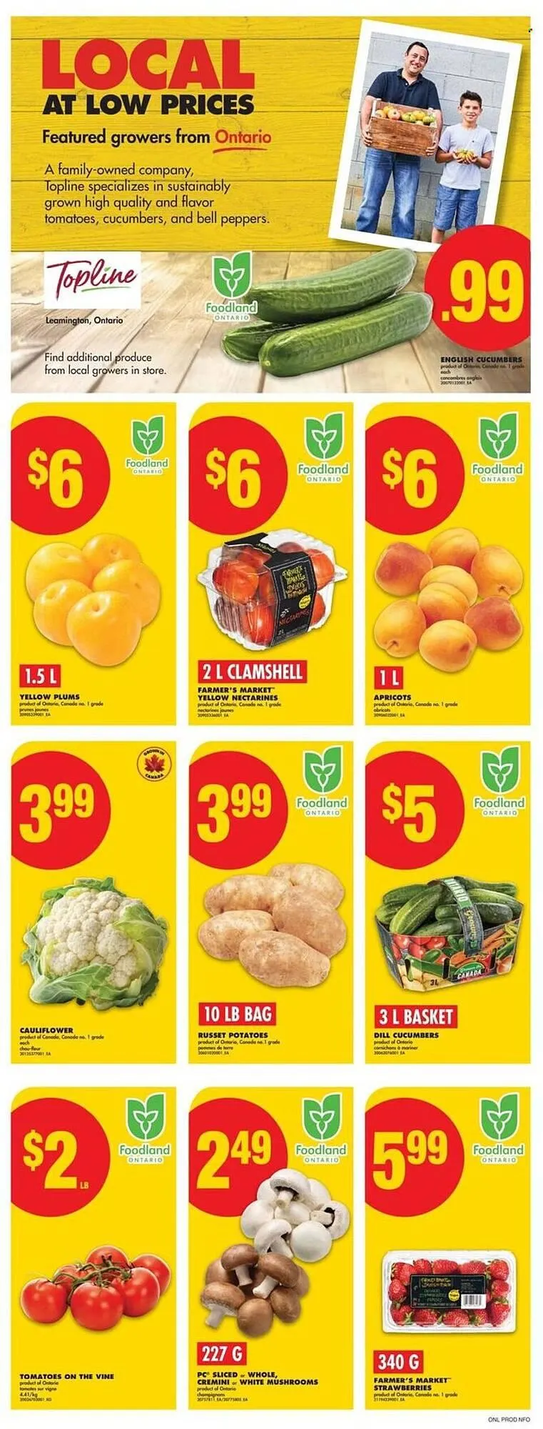 No Frills flyer from July 24 to July 30 2025 - flyer page 2
