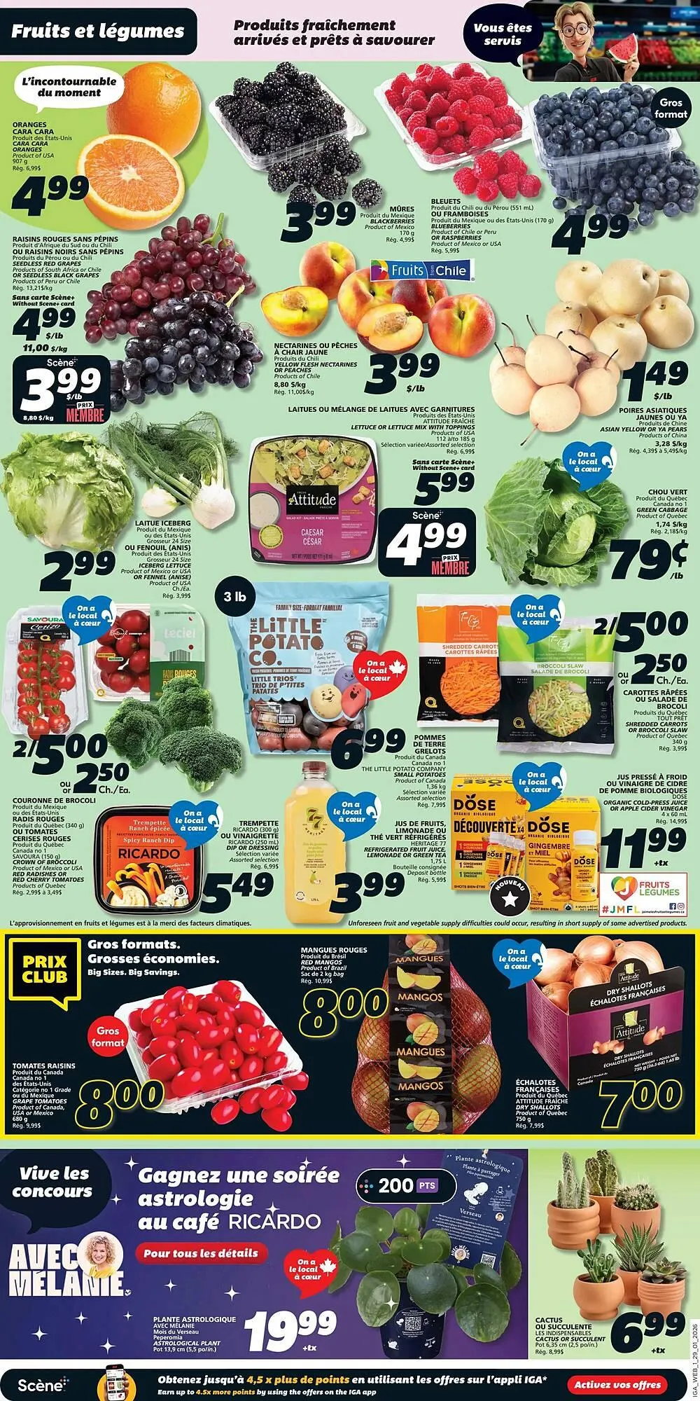 IGA flyer from January 29 to February 4 2026 - flyer page 3