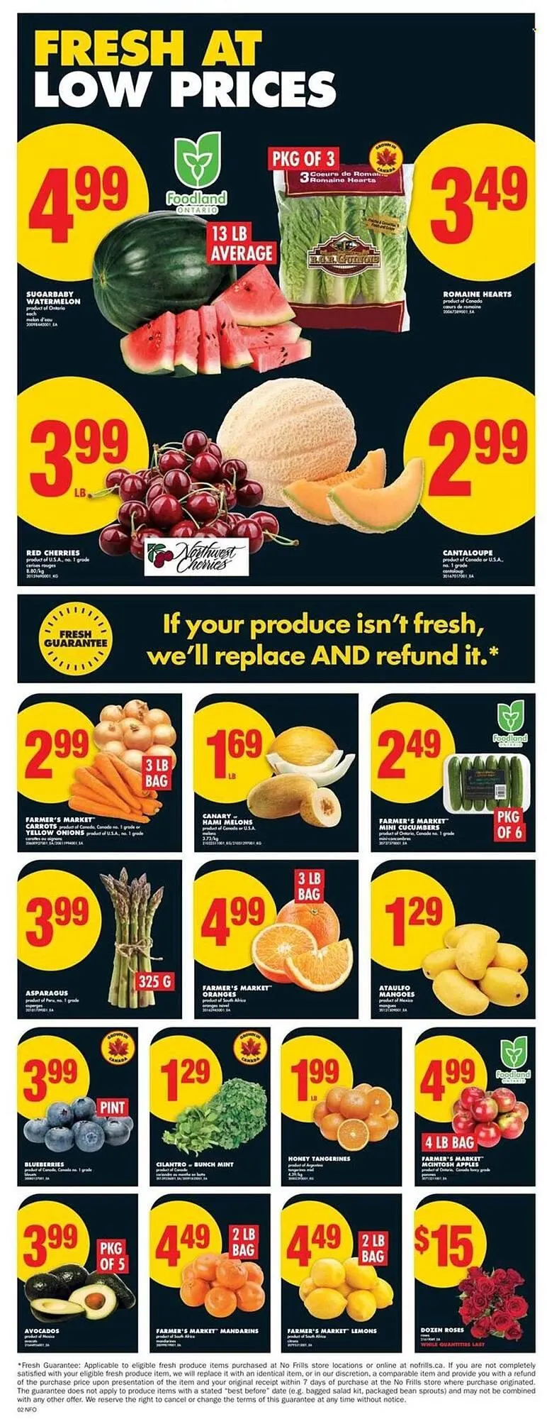 No Frills flyer from July 24 to July 30 2025 - flyer page 3