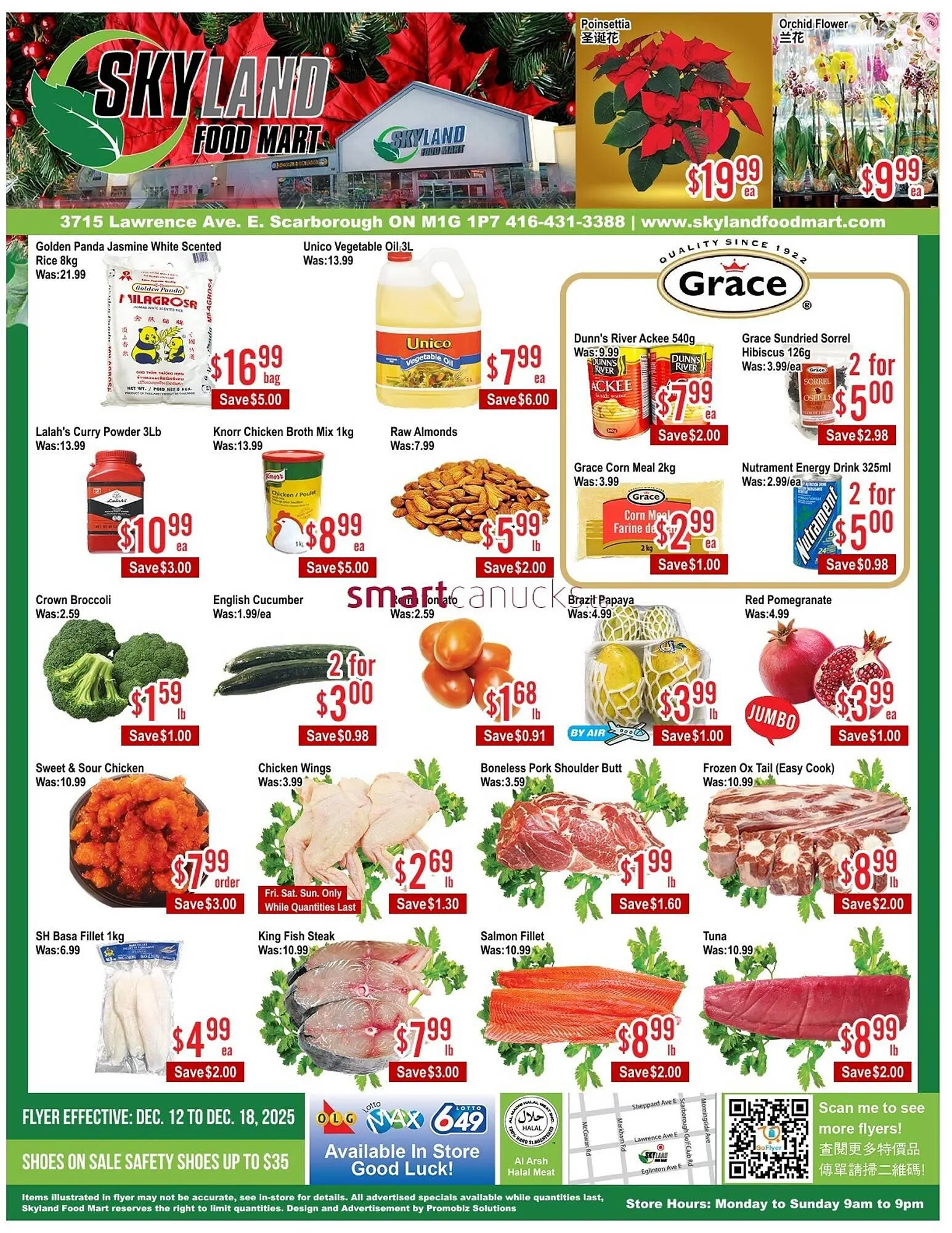 Skyland Foodmart flyer from December 12 to December 18 2025 - flyer page 1