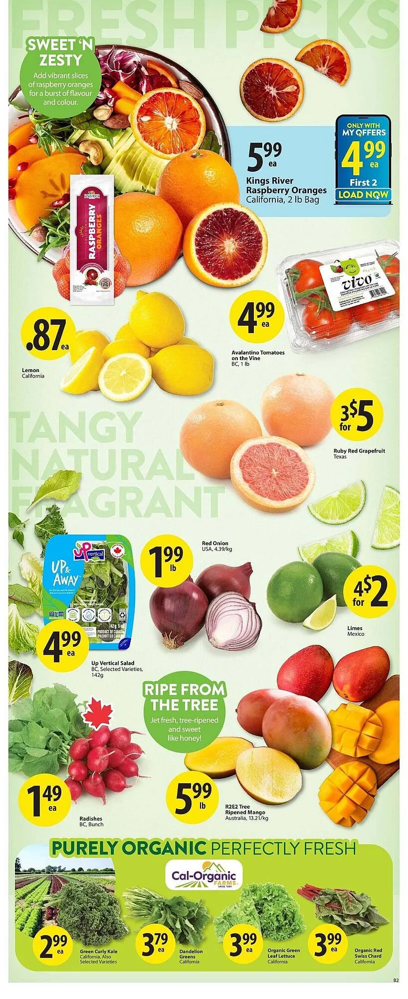 Save on Foods flyer from January 1 to January 8 2026 - flyer page 3