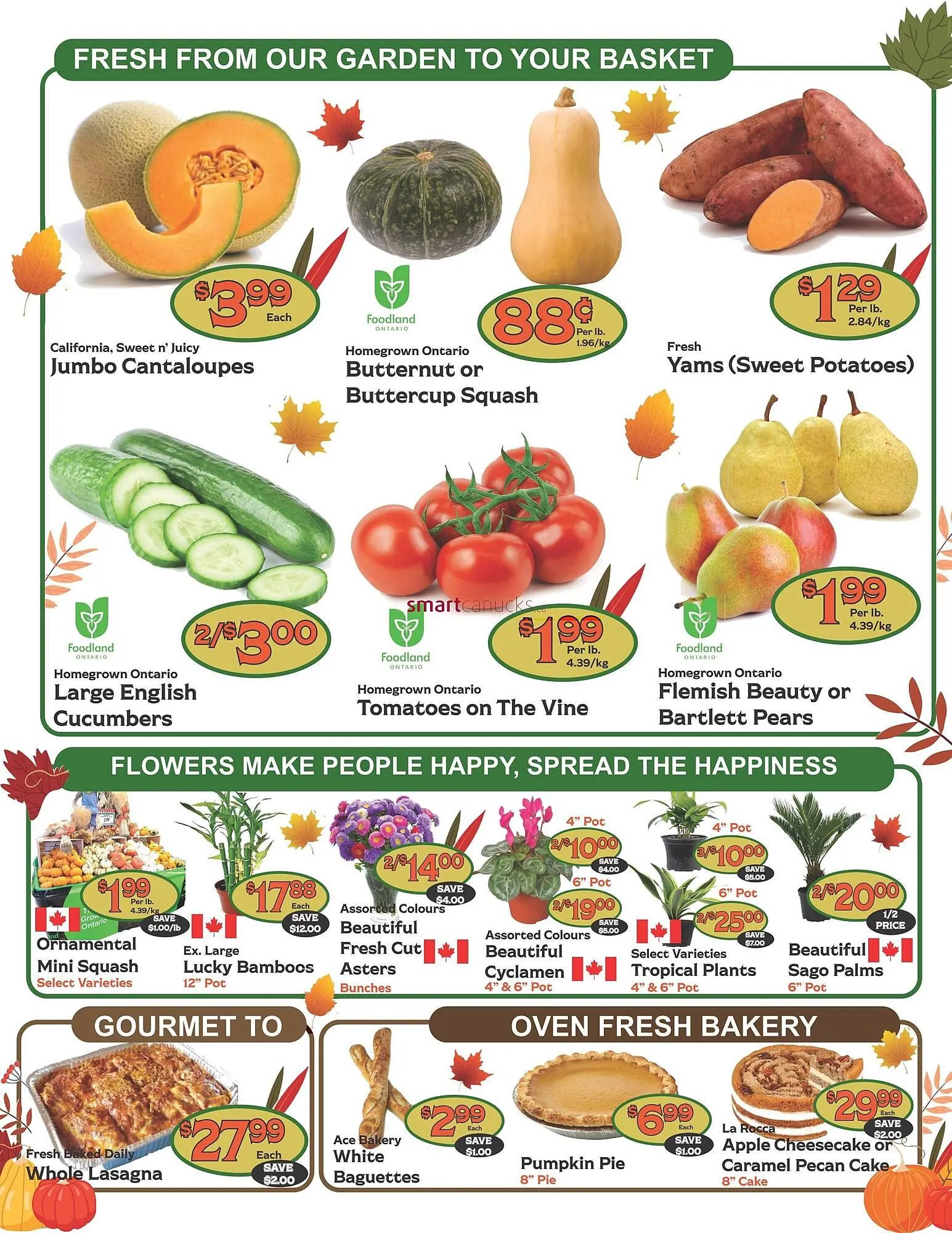 The Garden Basket flyer from October 9 to October 15 2025 - flyer page 2