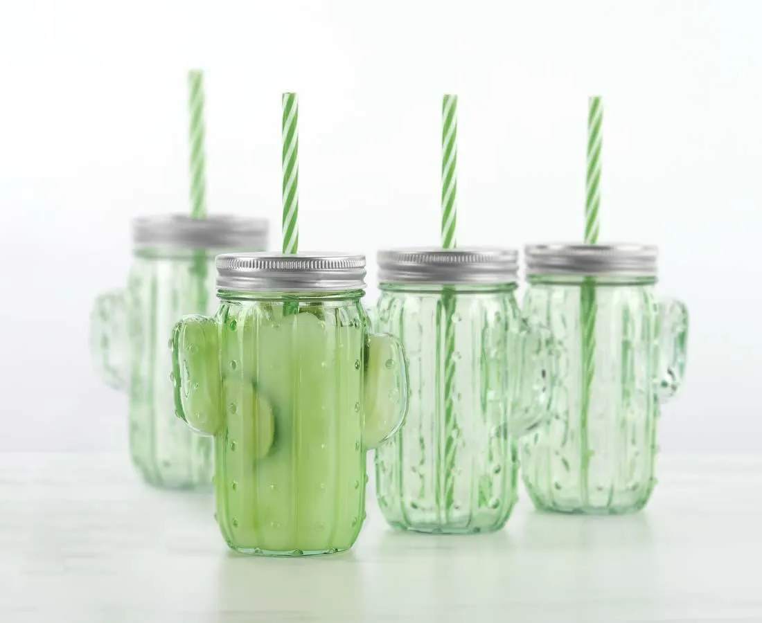 Cactus Glasses with Lid and Straw, Set of 4
