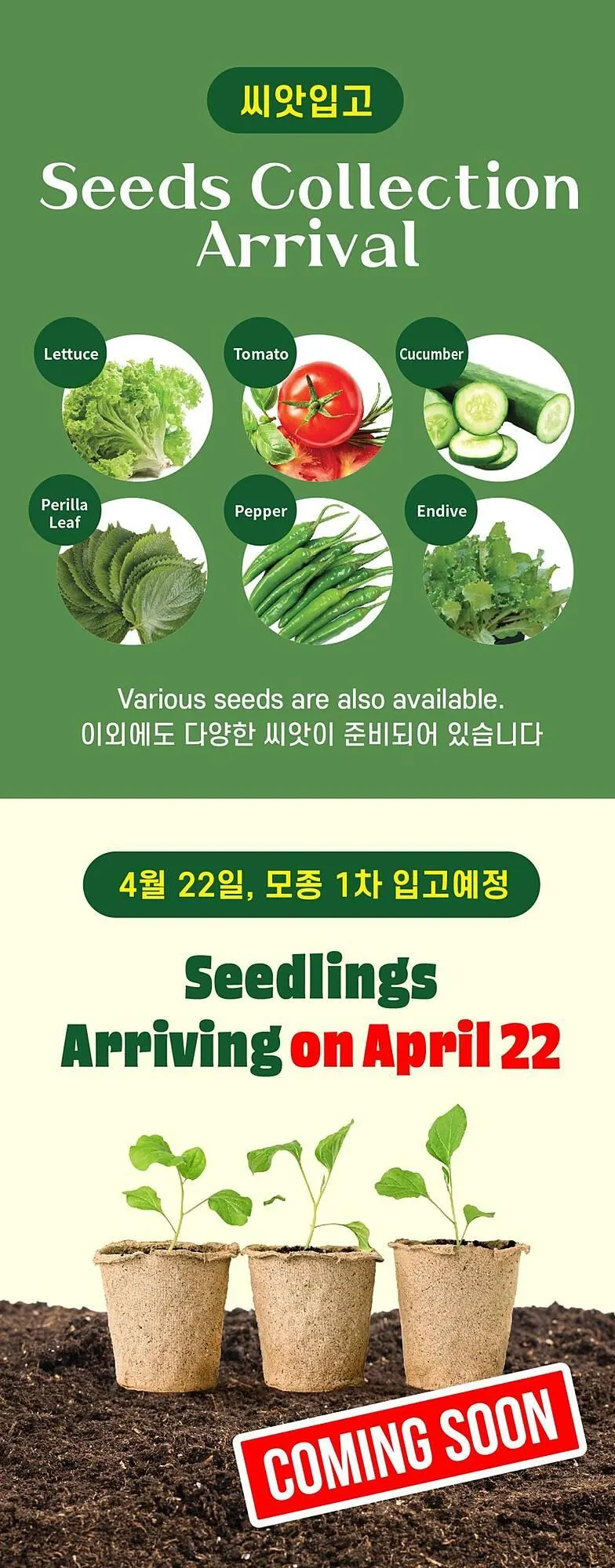 H-Mart flyer from April 18 to April 24 2025 - flyer page 7