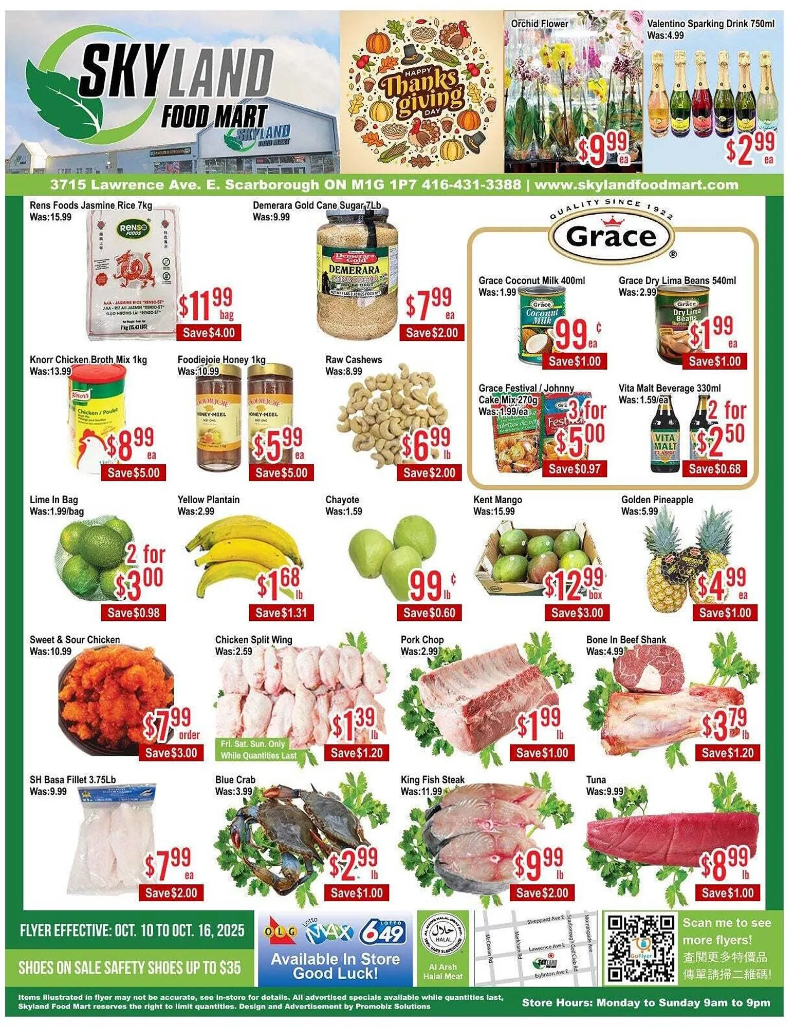 Skyland Foodmart flyer from October 10 to October 17 2025 - flyer page 1