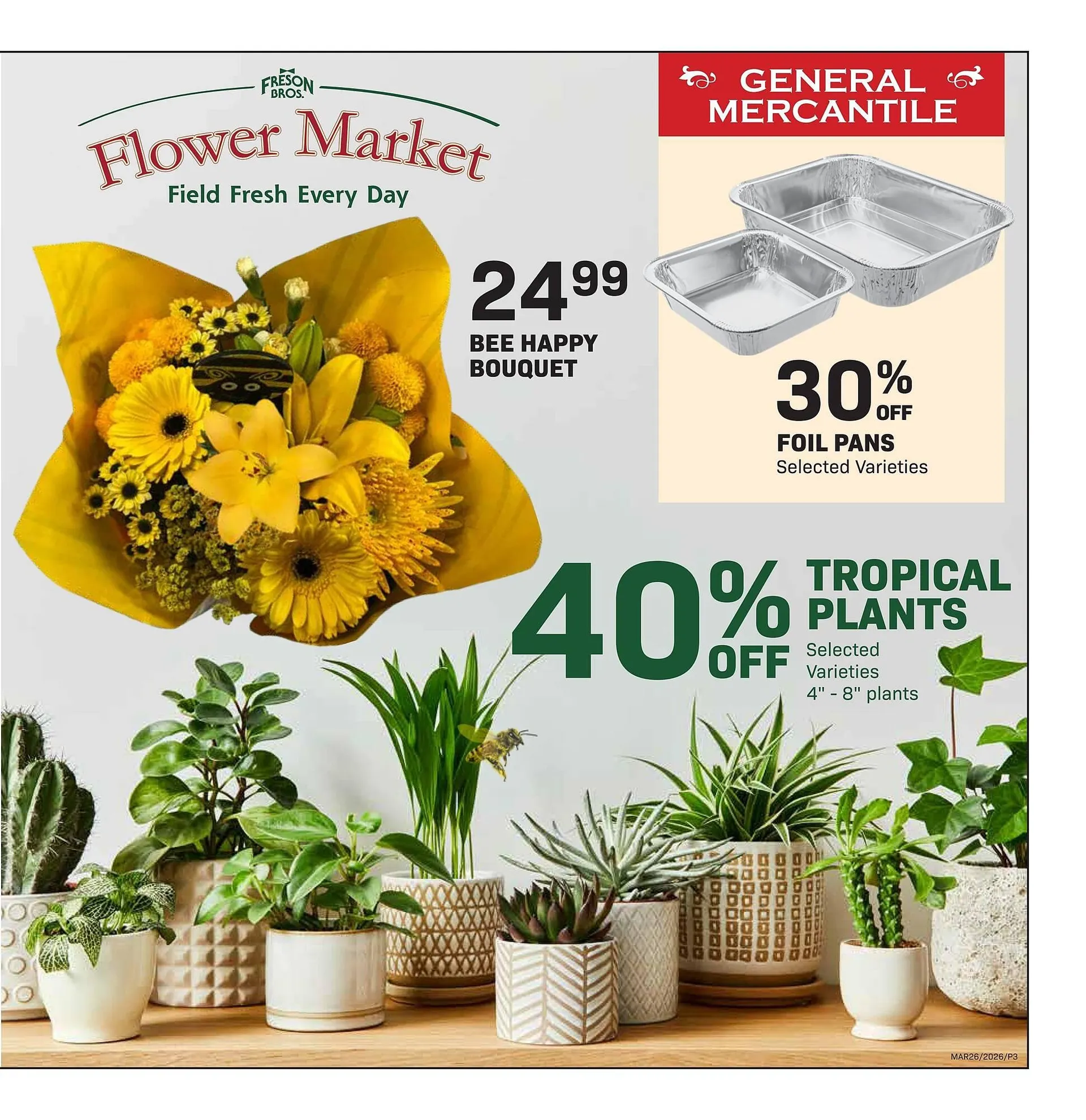 Freson Bros flyer from March 20 to March 26 2026 - flyer page 3