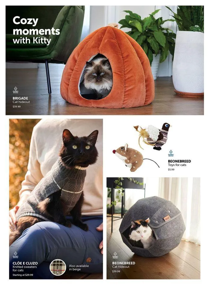 Flyer from September 9 to October 31 2024 - flyer page 6