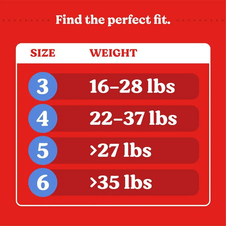 Overnites Nighttime Baby Diapers, Size 6, 36 Count