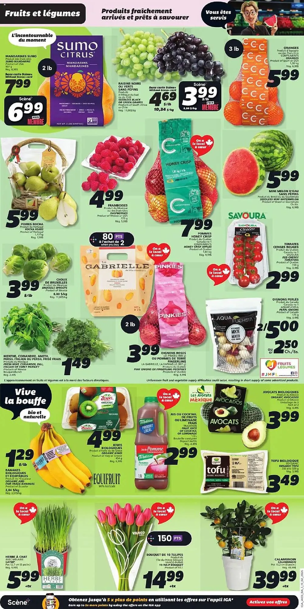 IGA flyer from February 19 to February 25 2026 - flyer page 3