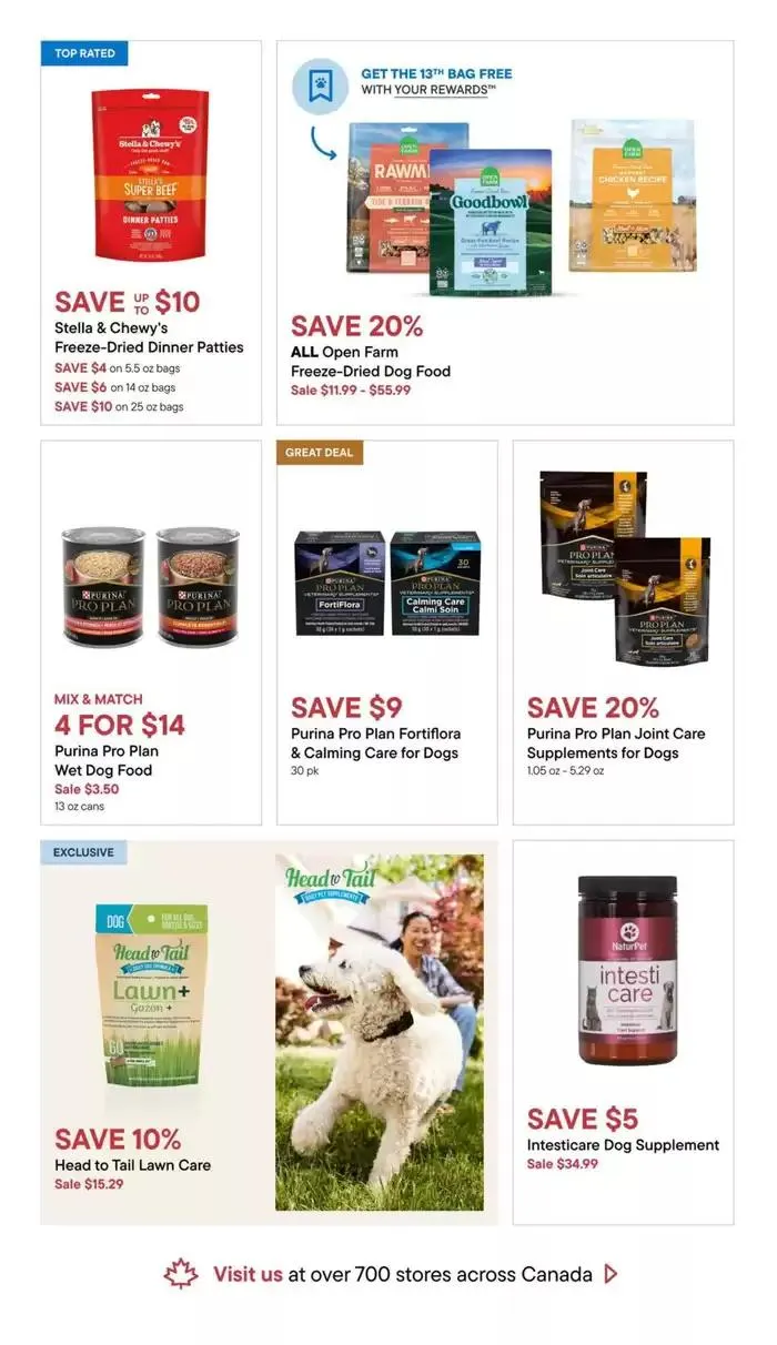 Spring into Savings from March 13 to April 2 2025 - flyer page 9