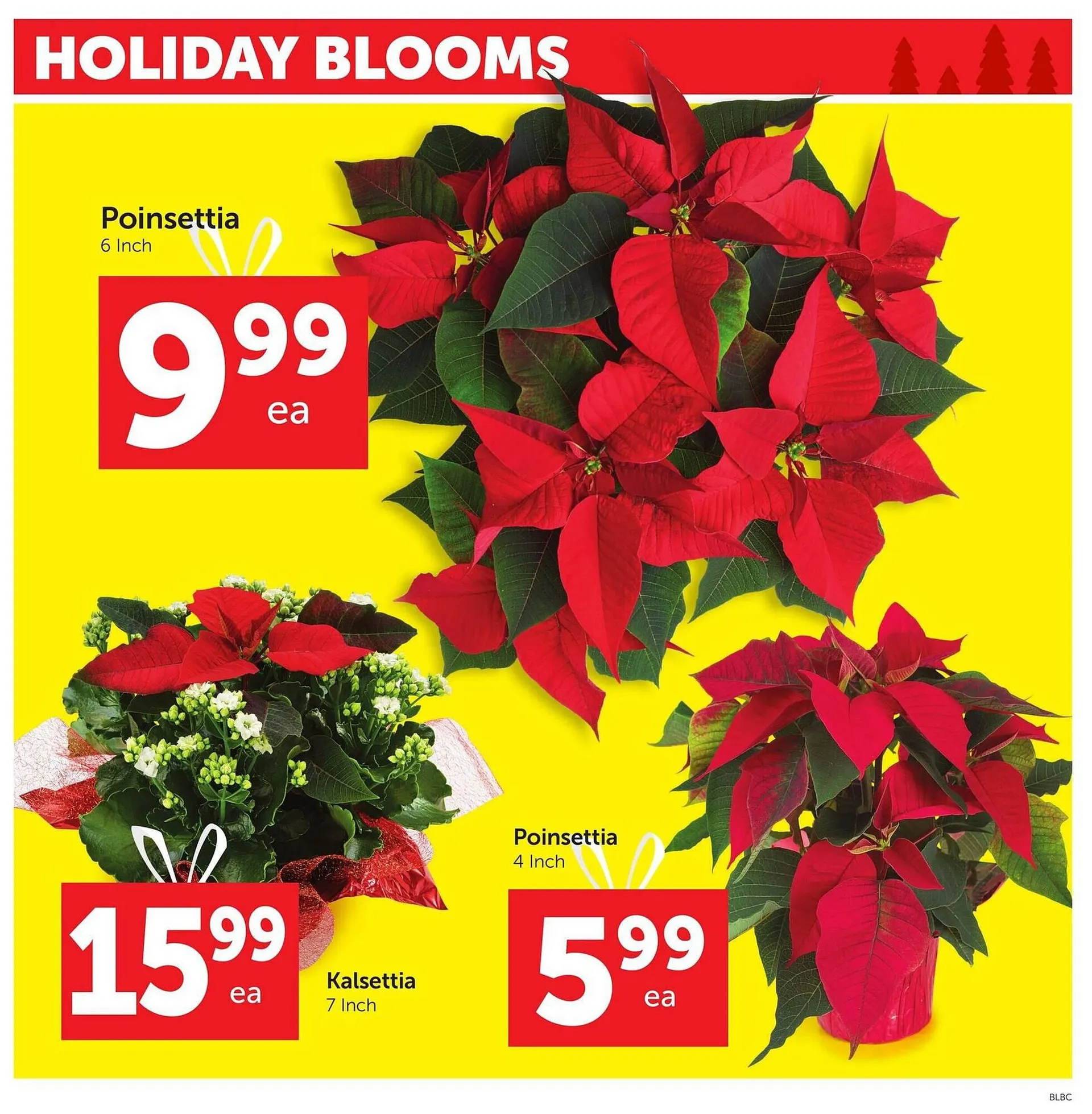 Buy-Low Foods flyer from November 20 to November 26 2025 - flyer page 4