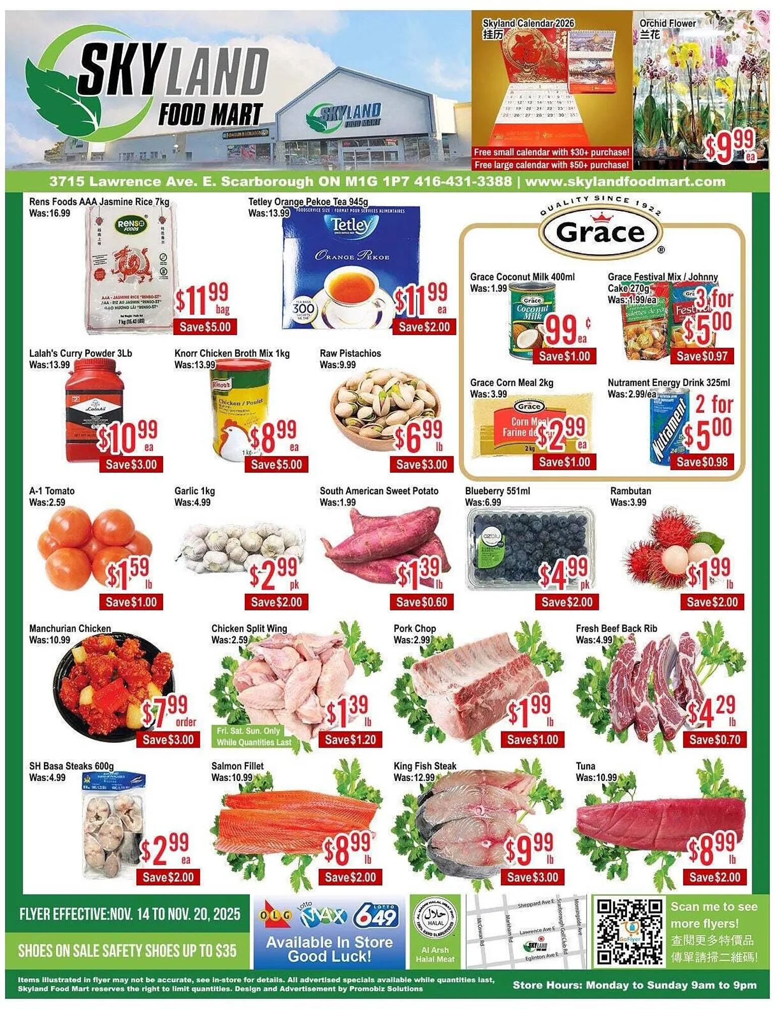 Skyland Foodmart flyer from November 14 to November 21 2025 - flyer page 1