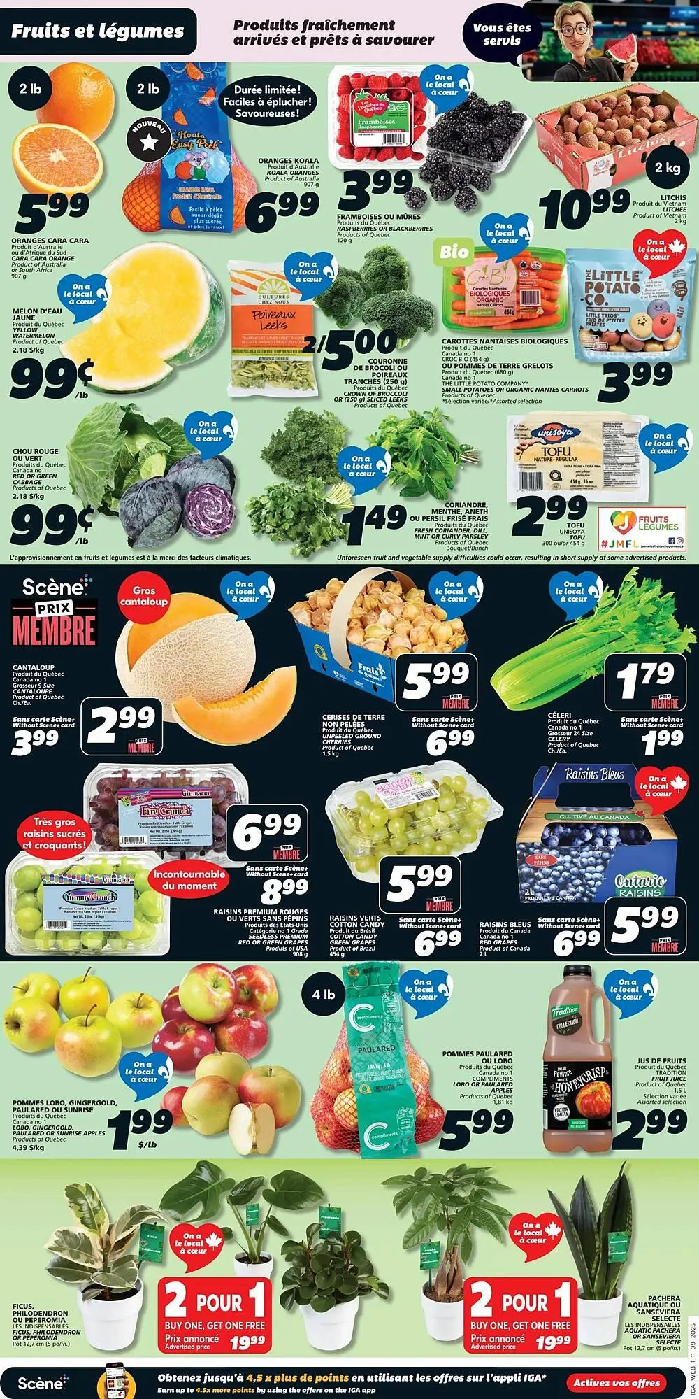 IGA flyer from September 11 to September 24 2025 - flyer page 3