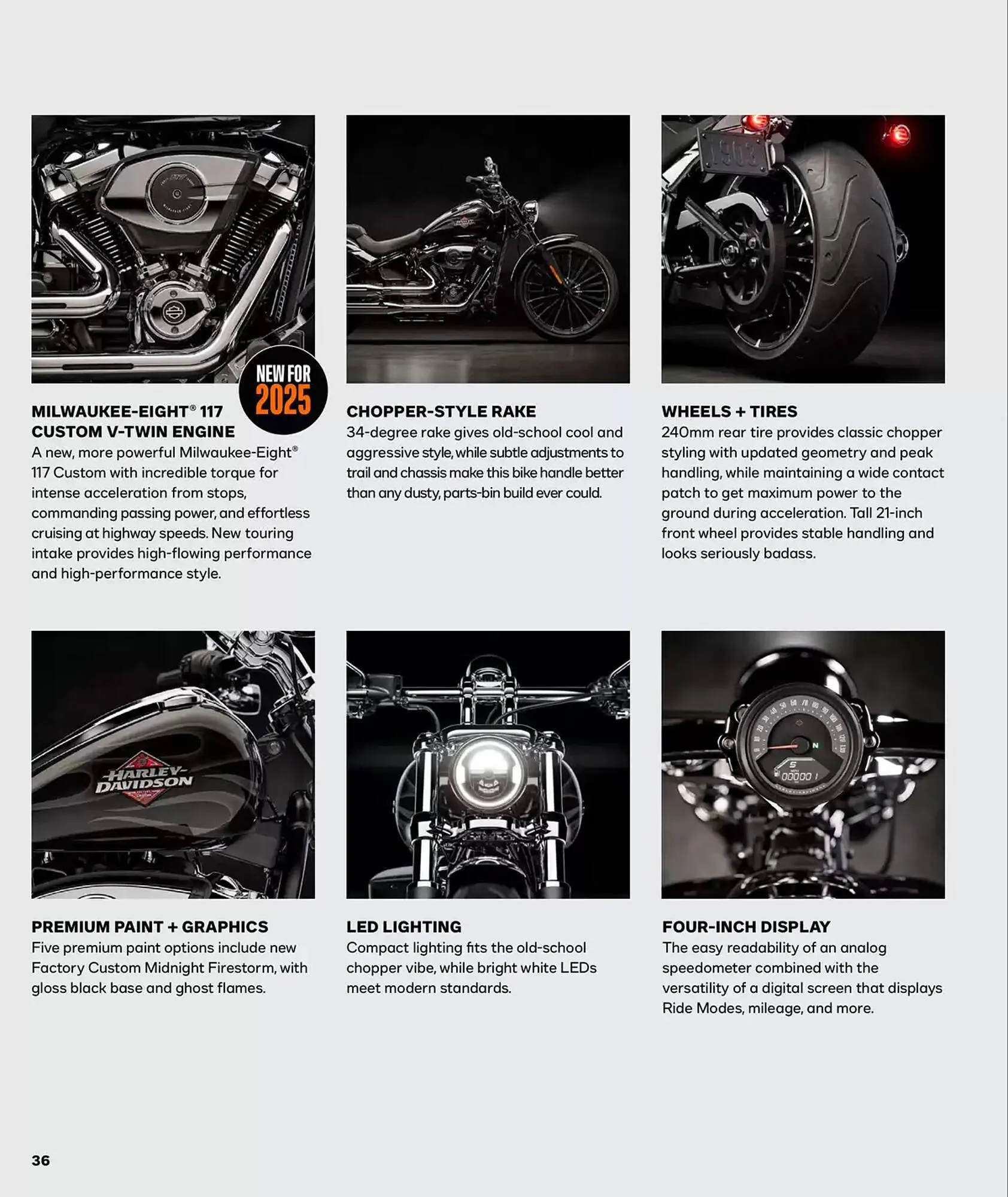Harley Davidson flyer from February 6 to February 6 2026 - flyer page 36