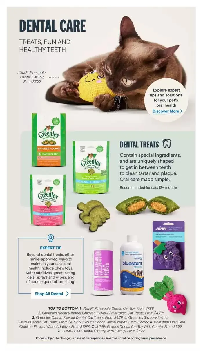 Devoted Cat Parent Guide from March 3 to March 31 2025 - flyer page 13