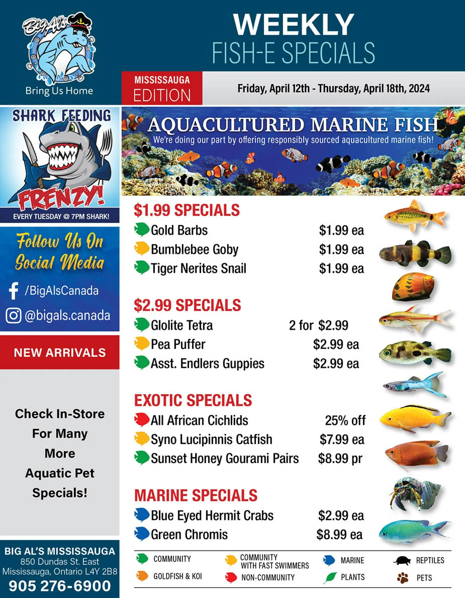 Big Al's Pets flyer - 1