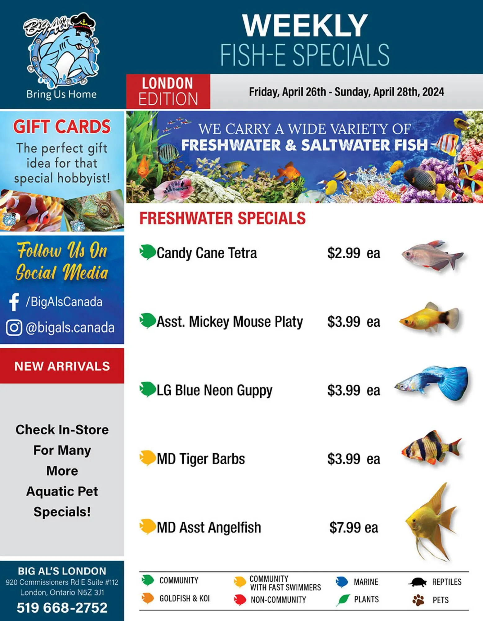 Big Al&#x27;s Pets flyer - 1