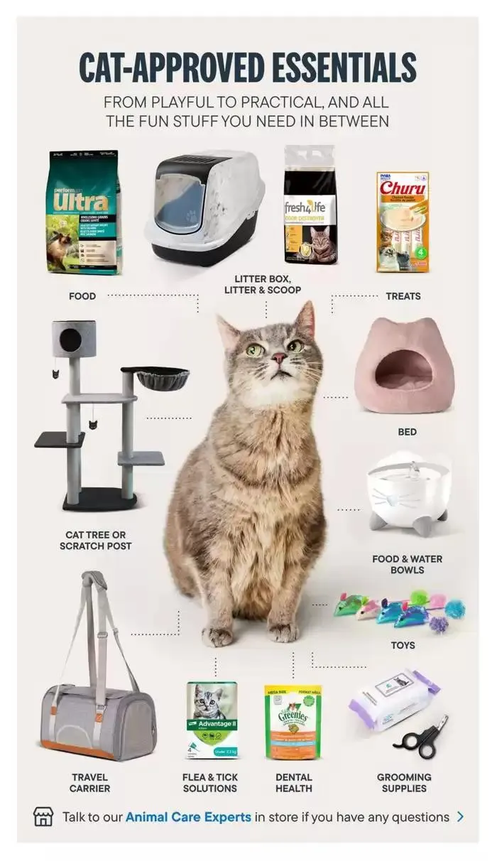 Devoted Cat Parent Guide from March 3 to March 31 2025 - flyer page 5