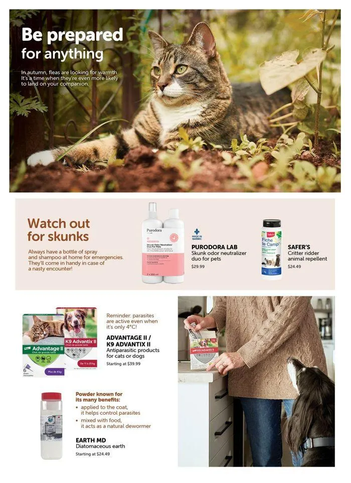 Flyer from September 9 to October 31 2024 - flyer page 11