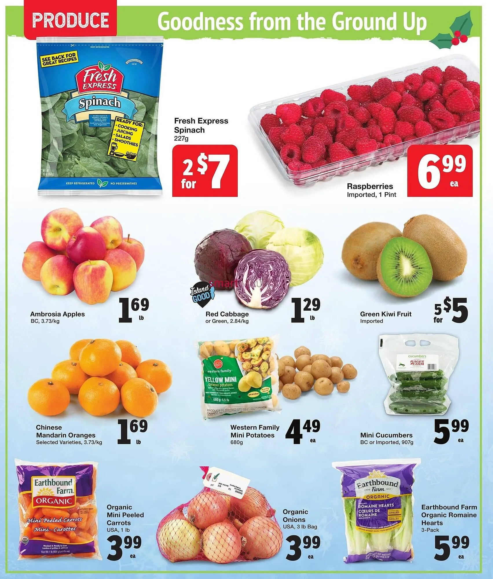 Quality Foods flyer from November 12 to December 26 2024 - flyer page 2