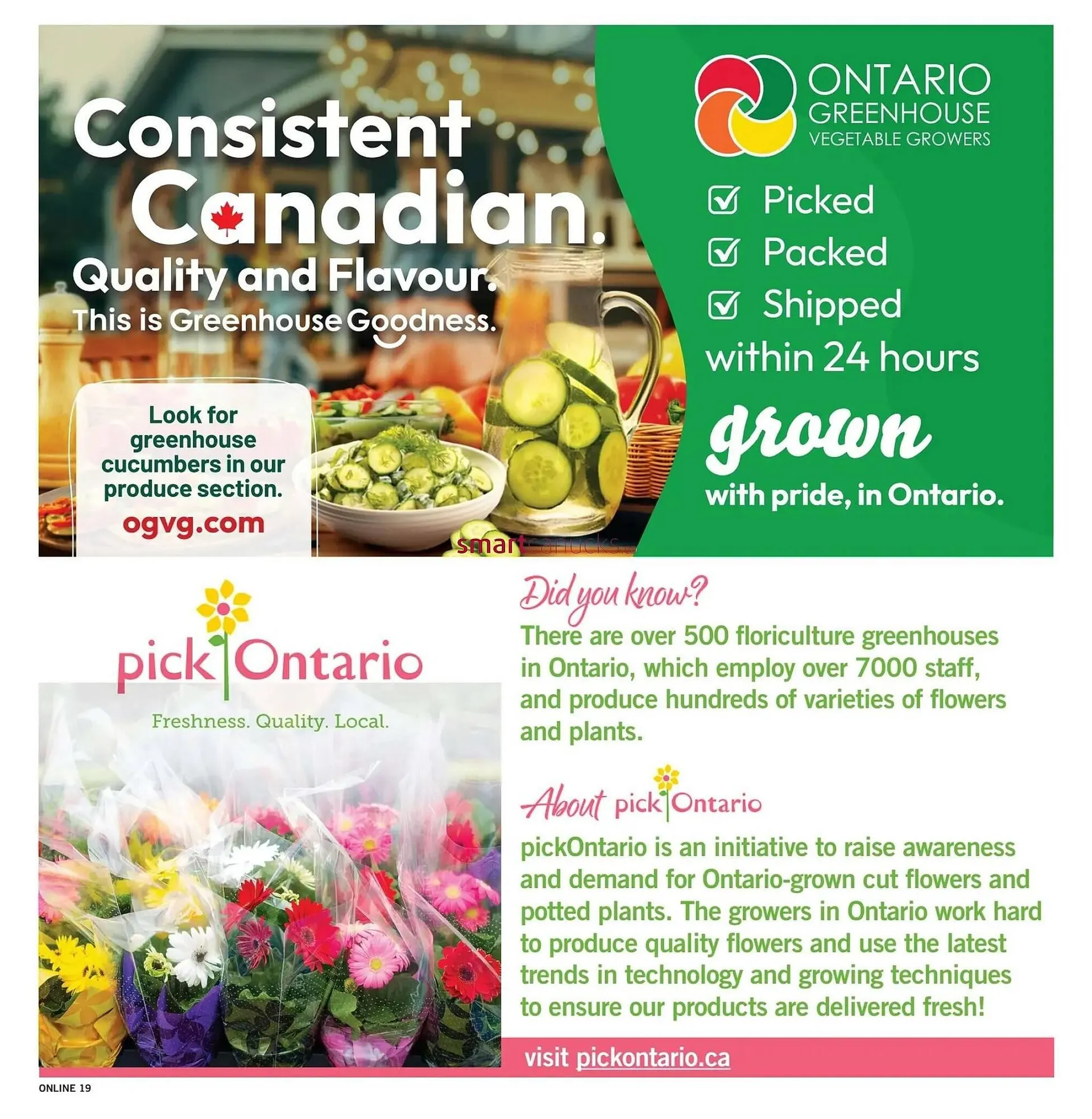 Fortinos flyer from August 7 to August 13 2025 - flyer page 19