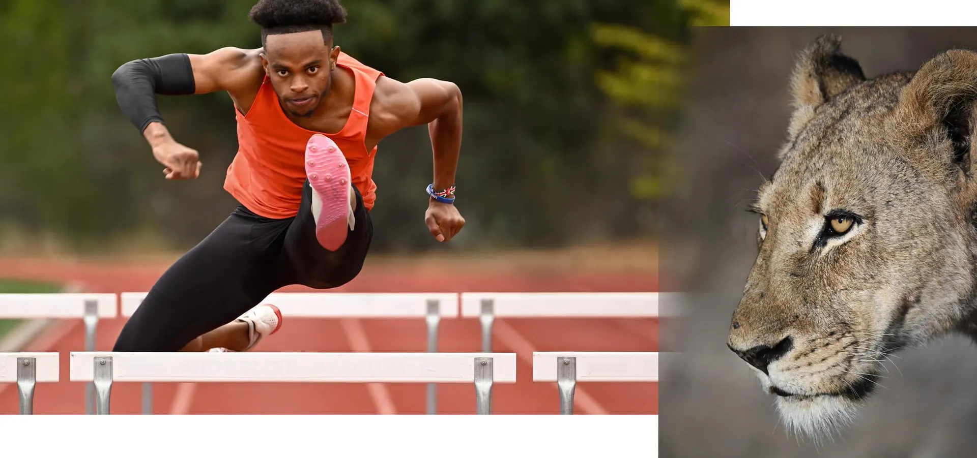 NIKKOR Z 100-400mm f/4.5-5.6 VR S