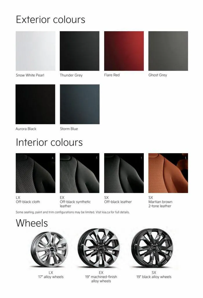 Kia Carnival from June 15 to June 15 2024 - flyer page 13