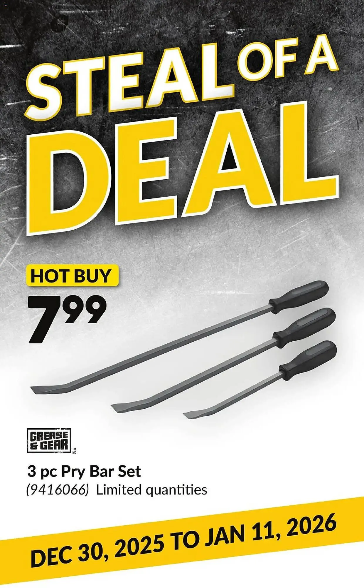 Princess Auto flyer from December 30 to January 11 2026 - flyer page 4