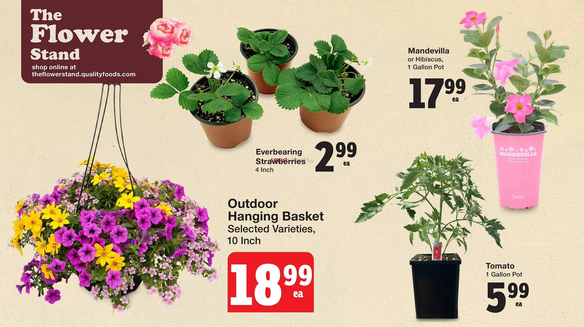 Quality Foods flyer from May 22 to June 11 2025 - flyer page 5