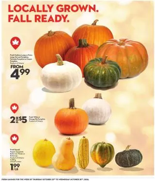 Longo's Flyer from October 22 to October 28 2026 - flyer page 13
