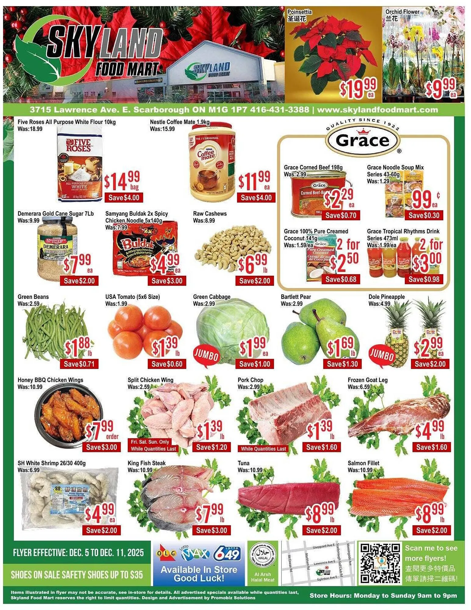 Skyland Foodmart flyer from December 5 to December 12 2025 - flyer page 1