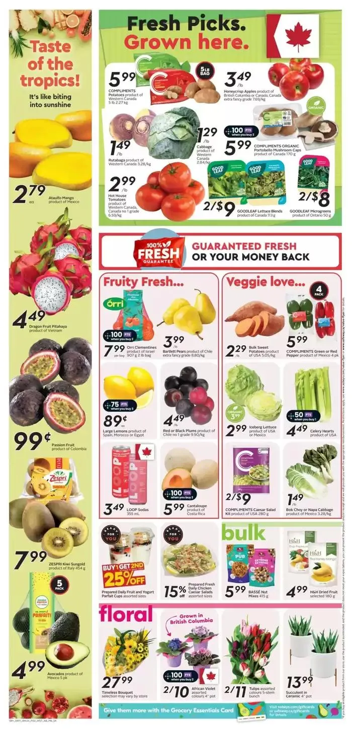 Discounts and promotions from February 27 to March 5 2025 - flyer page 5