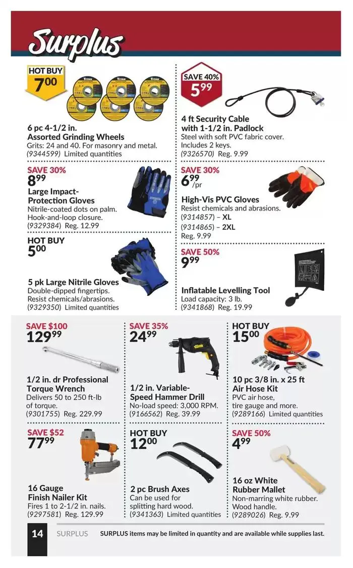 National Sale from January 14 to January 26 2025 - flyer page 19