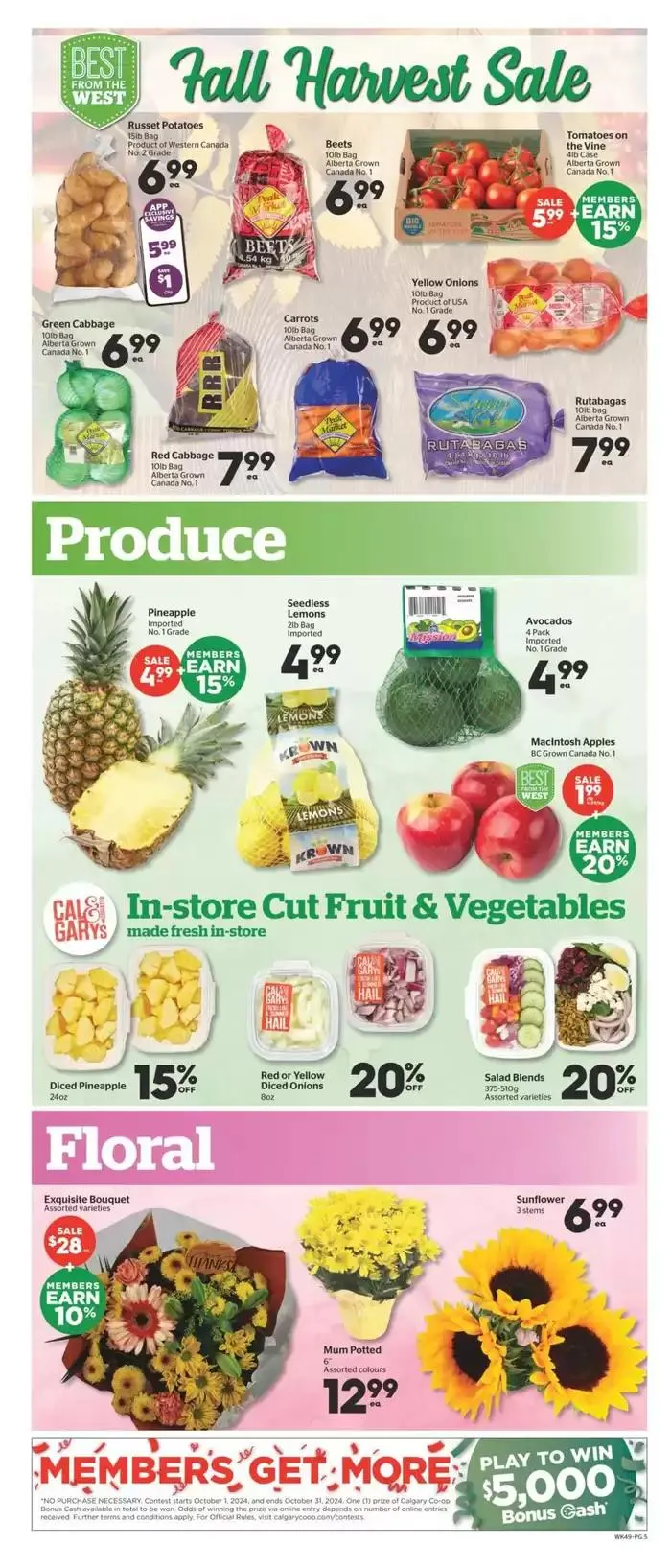 Thanksgiving Savings from October 3 to October 9 2024 - flyer page 5