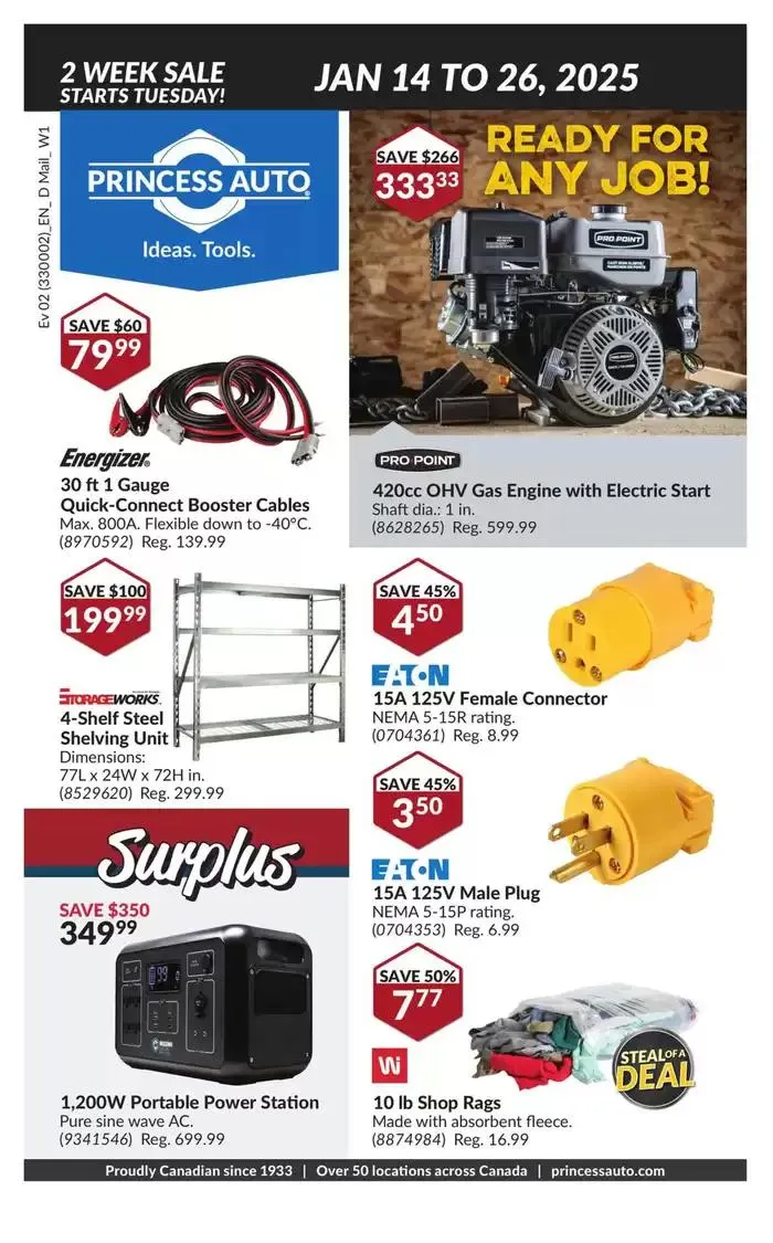 National Sale from January 14 to January 26 2025 - flyer page 1