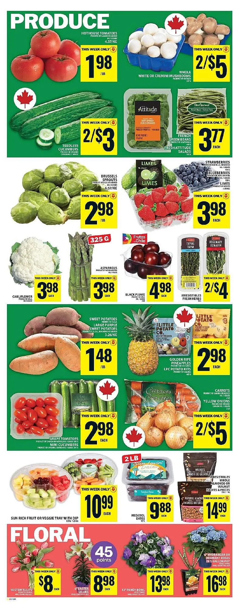 Food Basics flyer from April 17 to April 23 2025 - flyer page 10