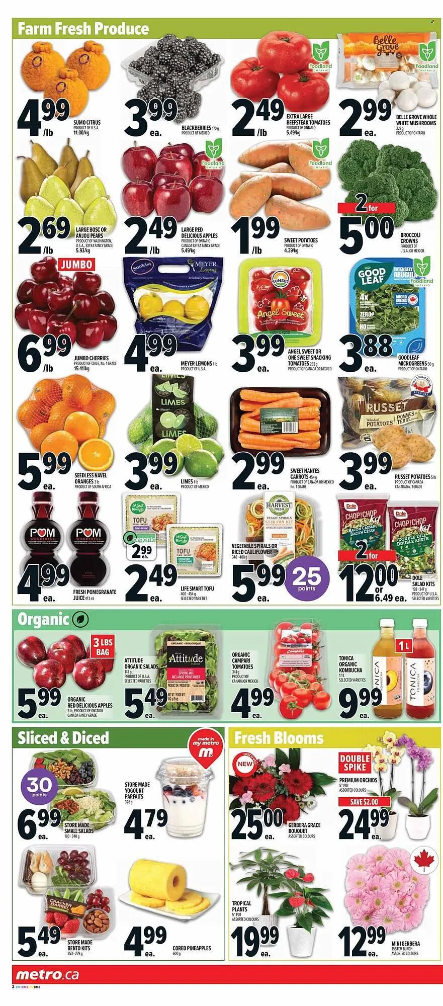 Metro flyer from January 1 to January 5 2026 - flyer page 6