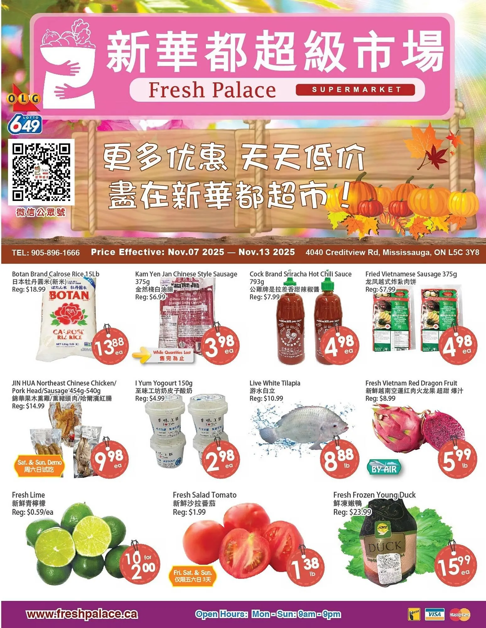 Fresh Palace Supermarket flyer from November 7 to November 13 2025 - flyer page 1