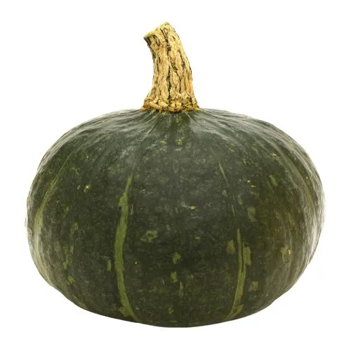 Buttercup Squash