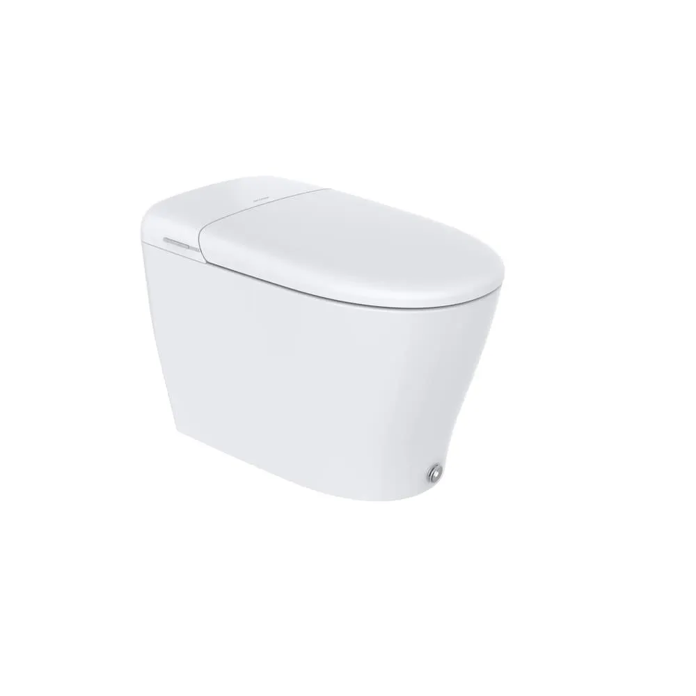 Deluxe+ 1-Piece 1.0 GPF Single Flush Elongated Toilet in White
