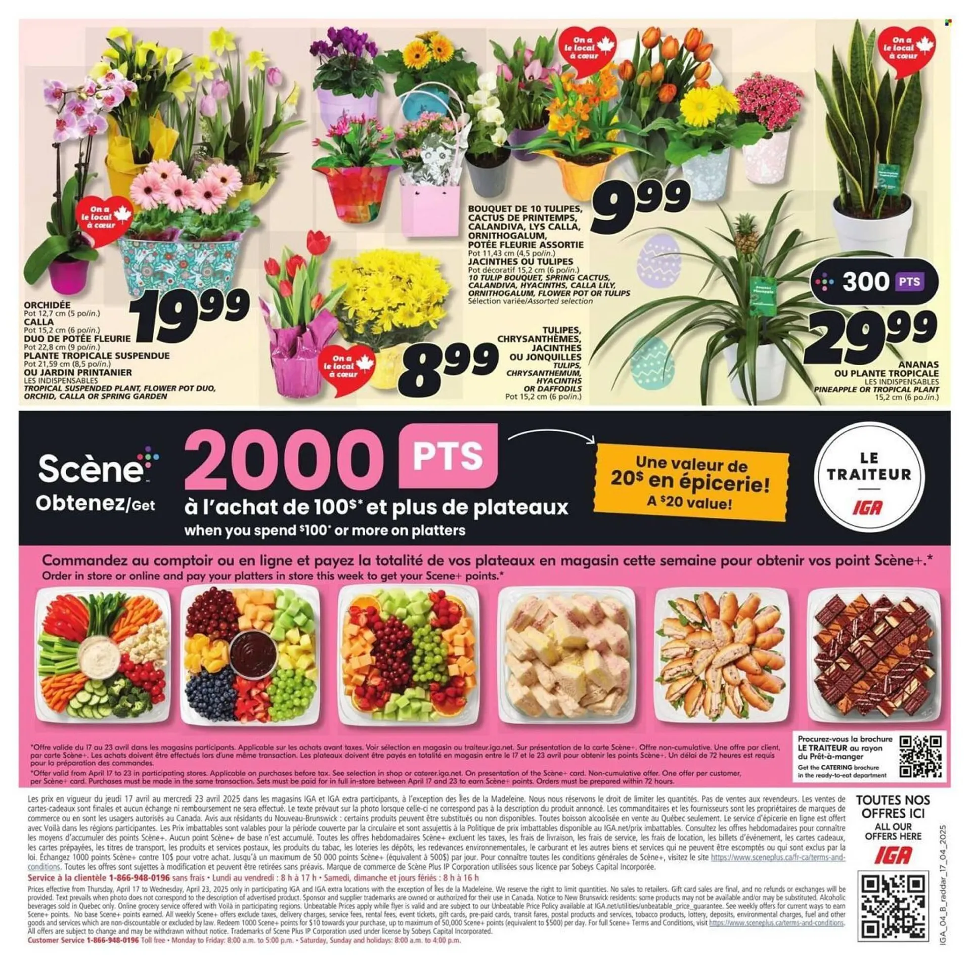 IGA flyer from April 17 to April 23 2025 - flyer page 8